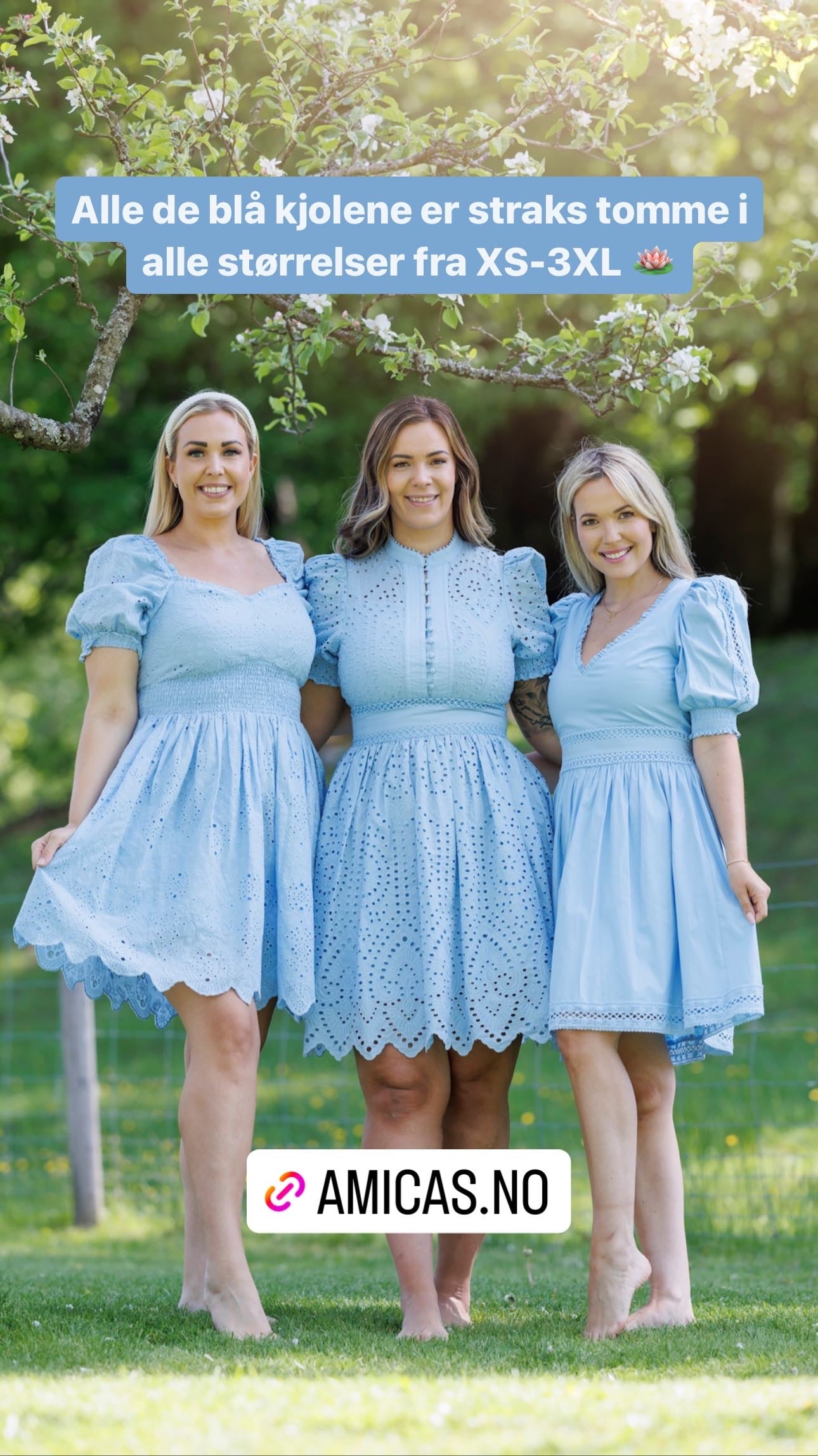 Monica dress - Blue Bell