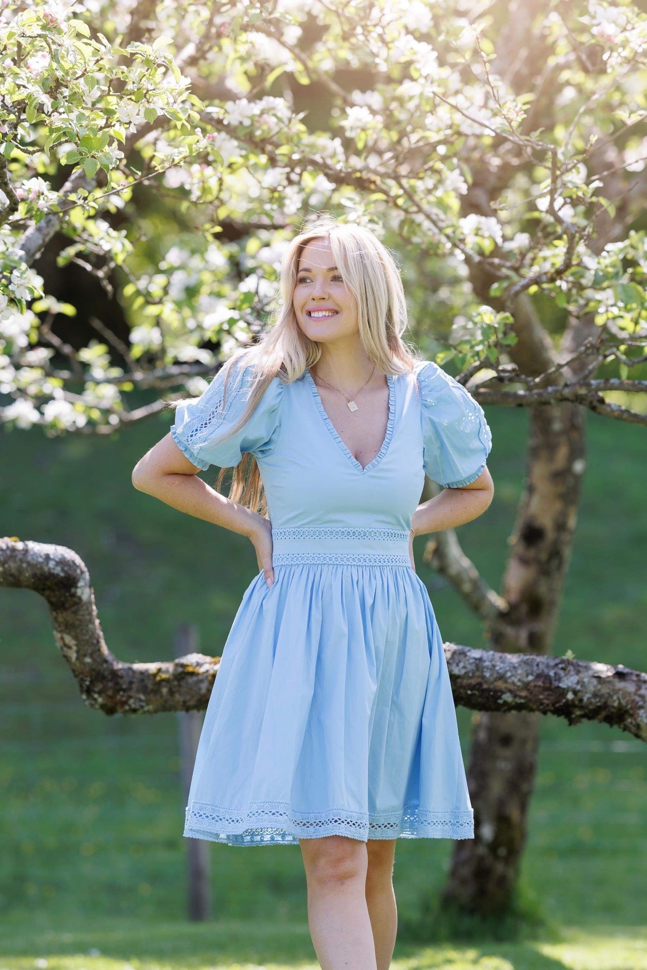 Therese dress - Blue Bell
