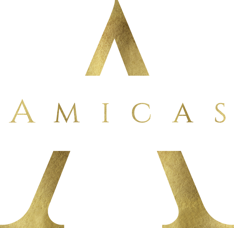 Amicas.no